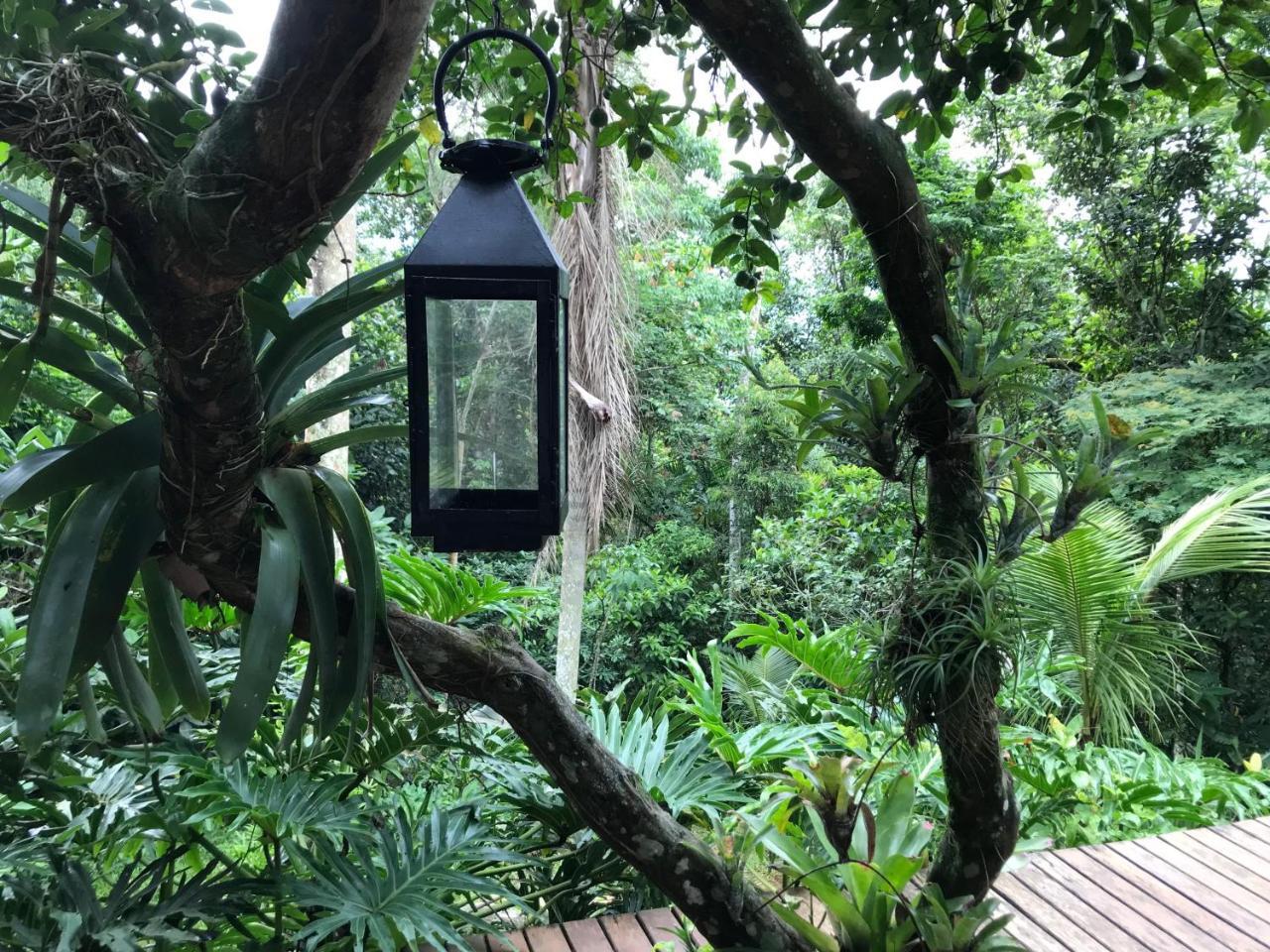 Pousada Rainforest House - Ilha Grande Dış mekan fotoğraf