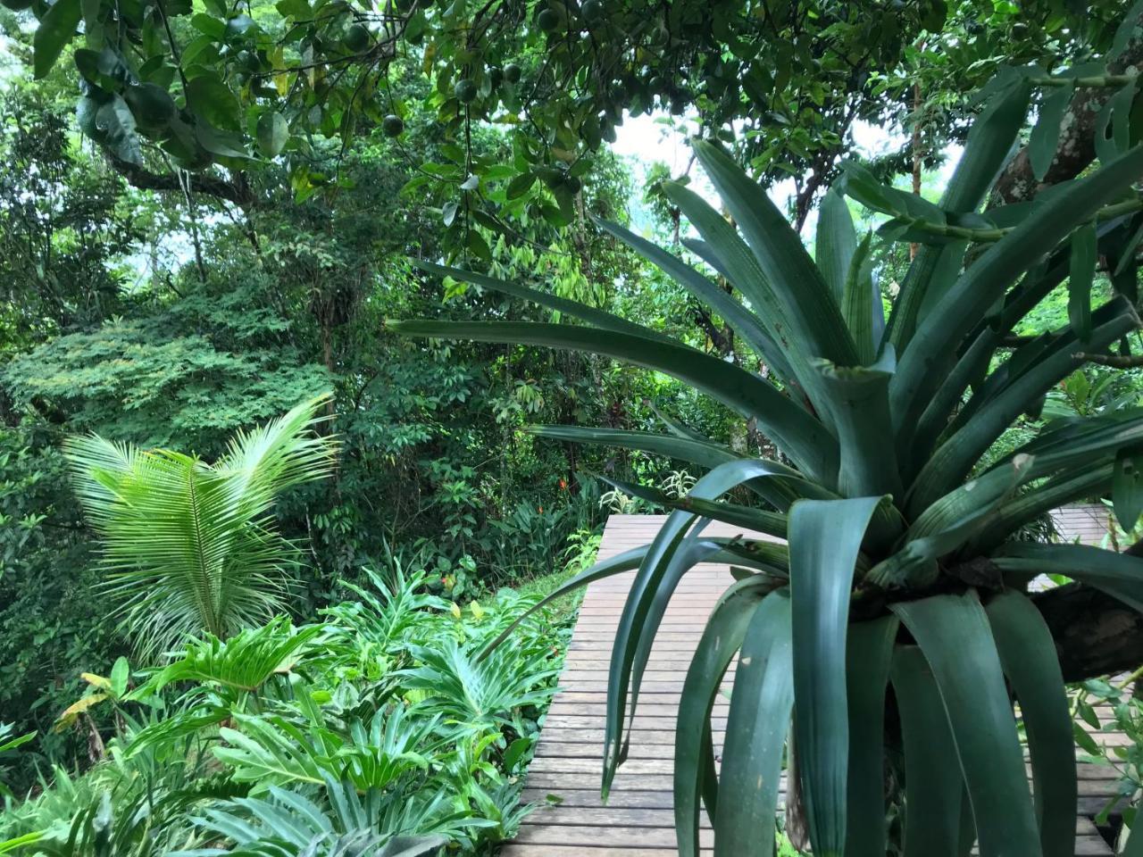 Pousada Rainforest House - Ilha Grande Dış mekan fotoğraf