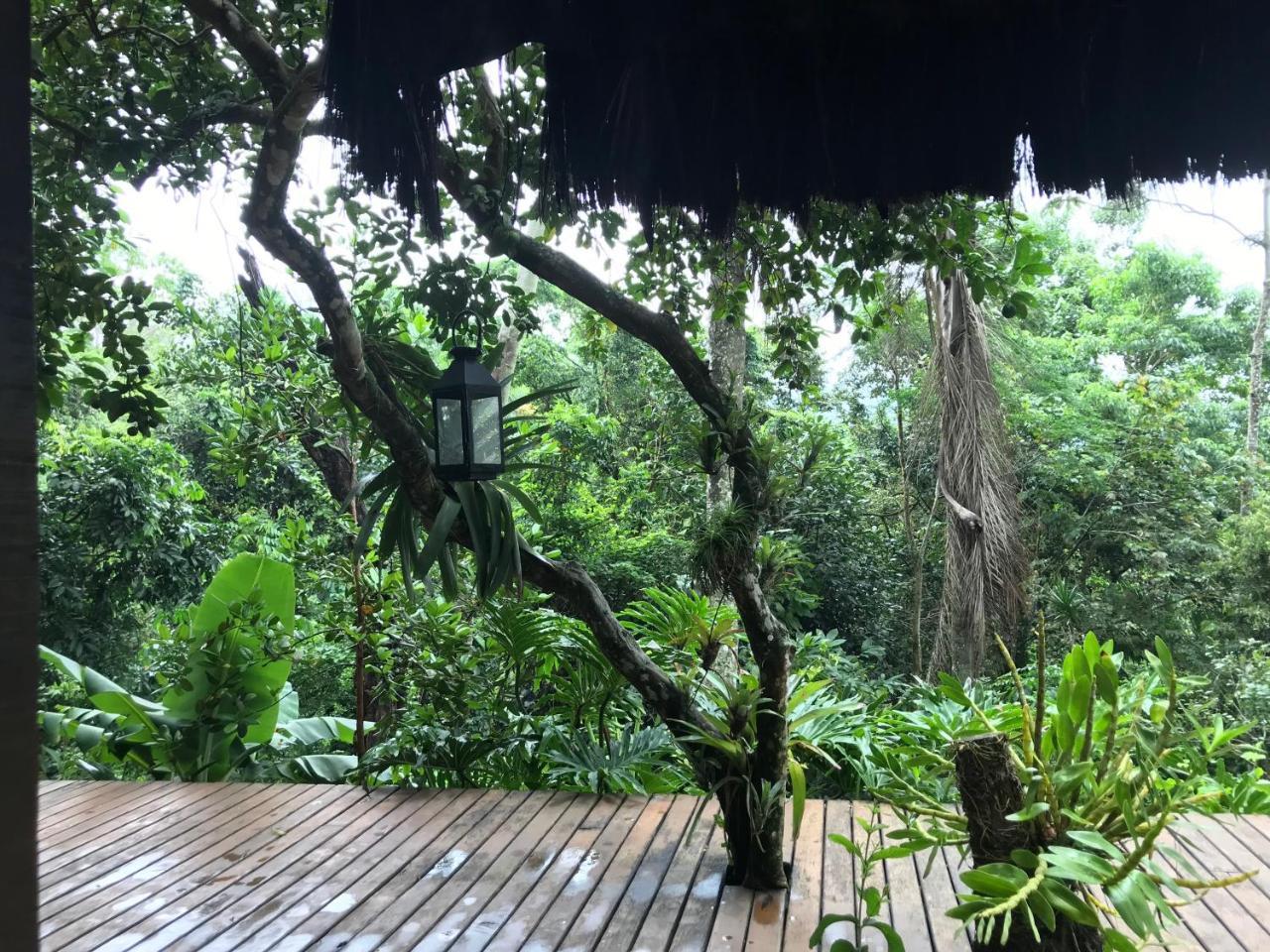 Pousada Rainforest House - Ilha Grande Dış mekan fotoğraf