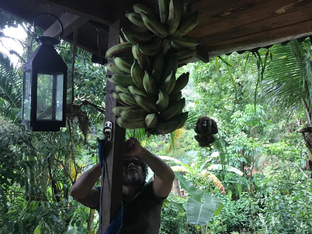 Pousada Rainforest House - Ilha Grande Dış mekan fotoğraf
